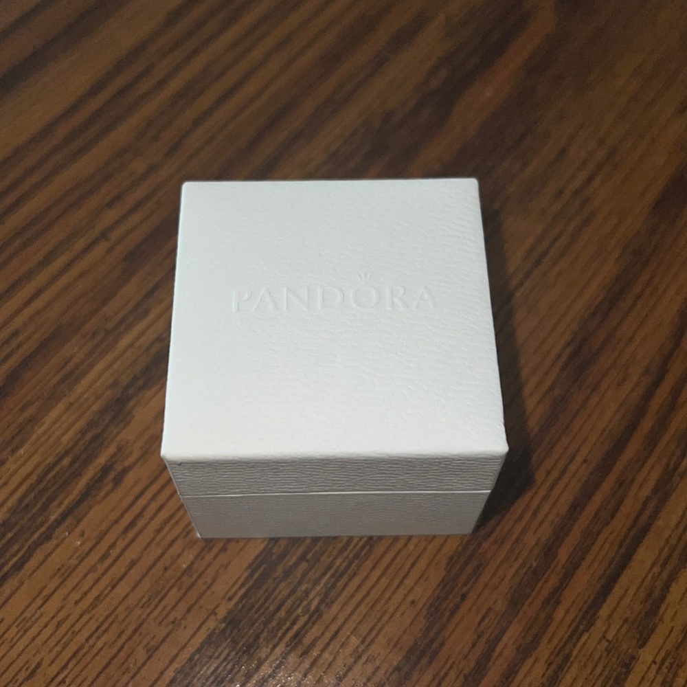 Pandora charm